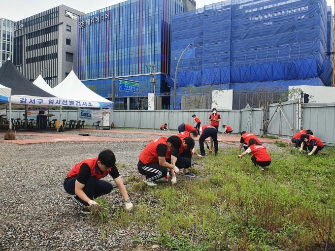 코로나 19 선별진료소 일대 환경정화 실시 사진