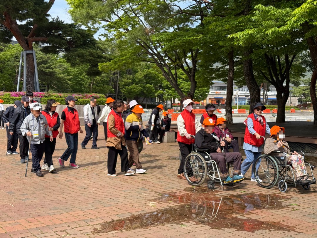 느티나무